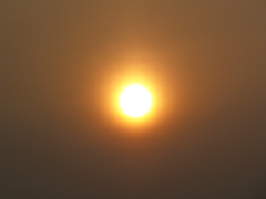 IMGP3629-45-20140226