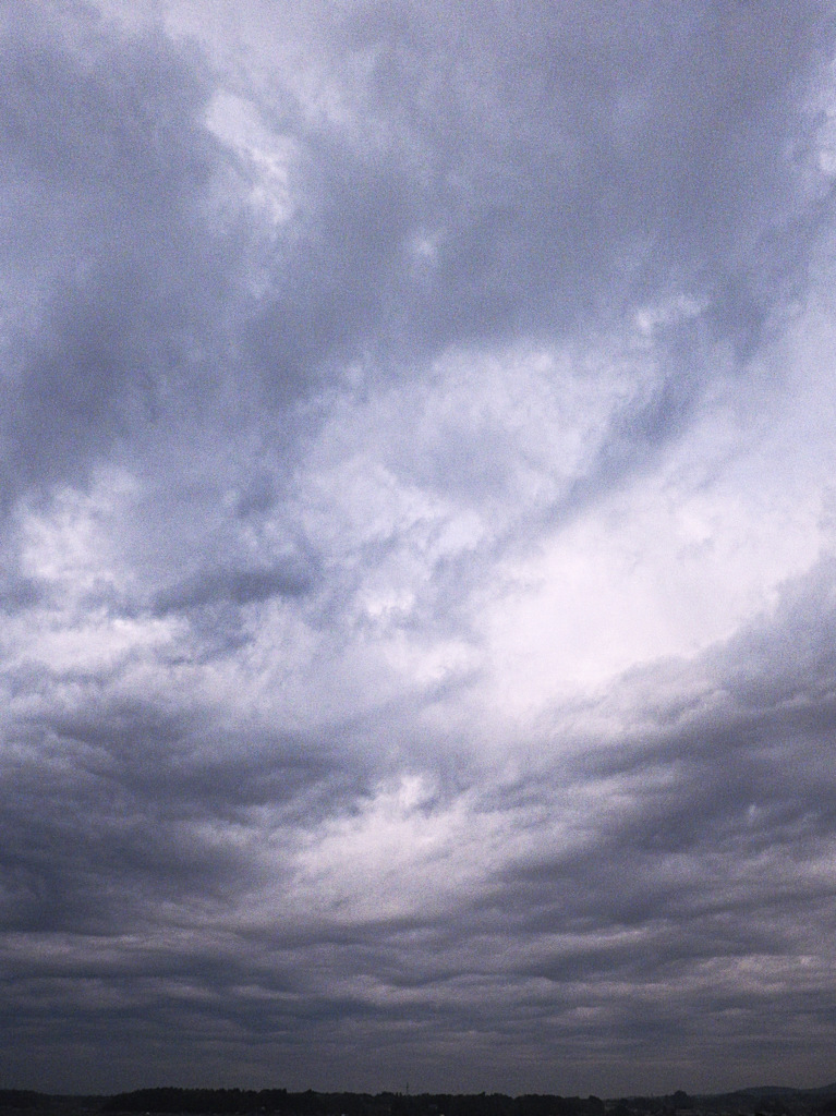 雲２２４