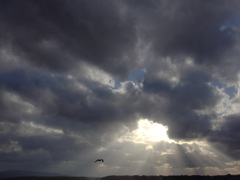 雲１８４