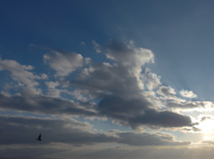 雲２２０