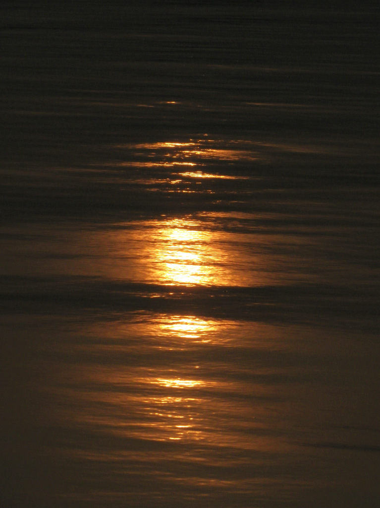 IMGP3630-46-20140226