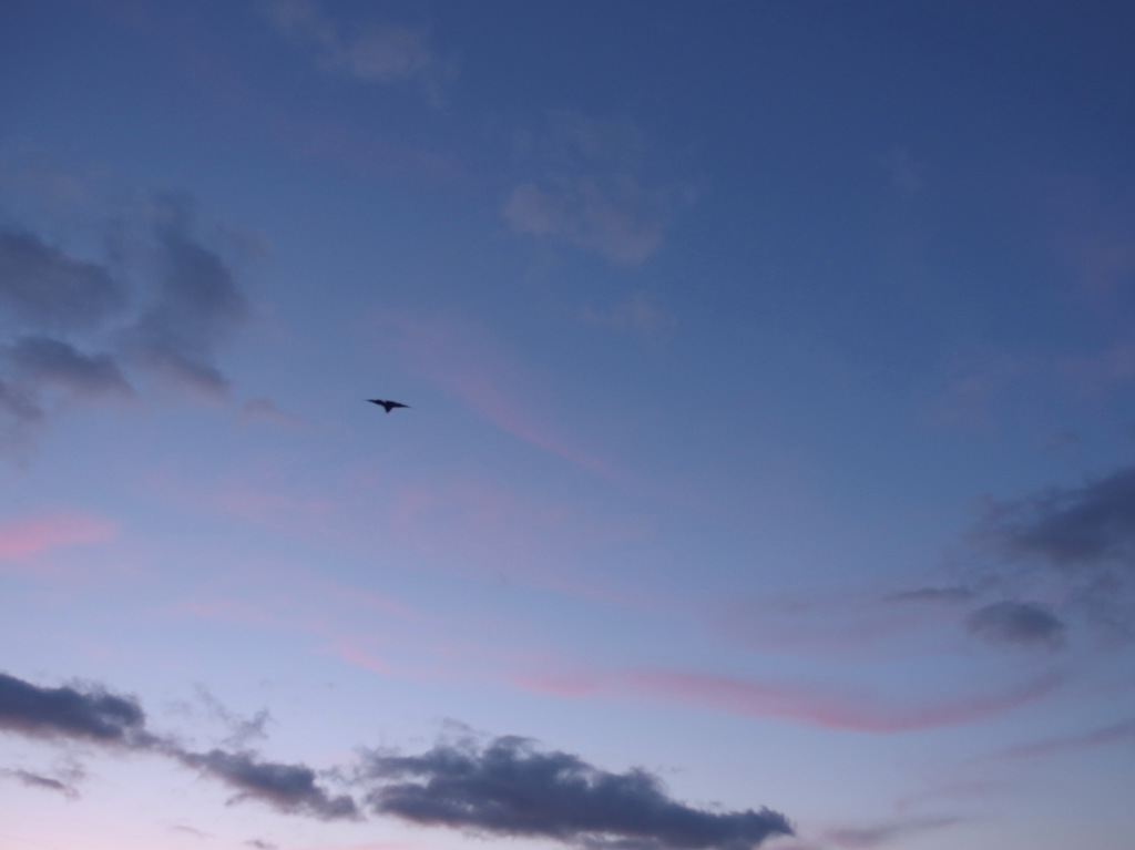 雲２００