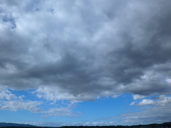 雲１２４