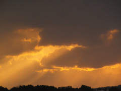 雲２０８