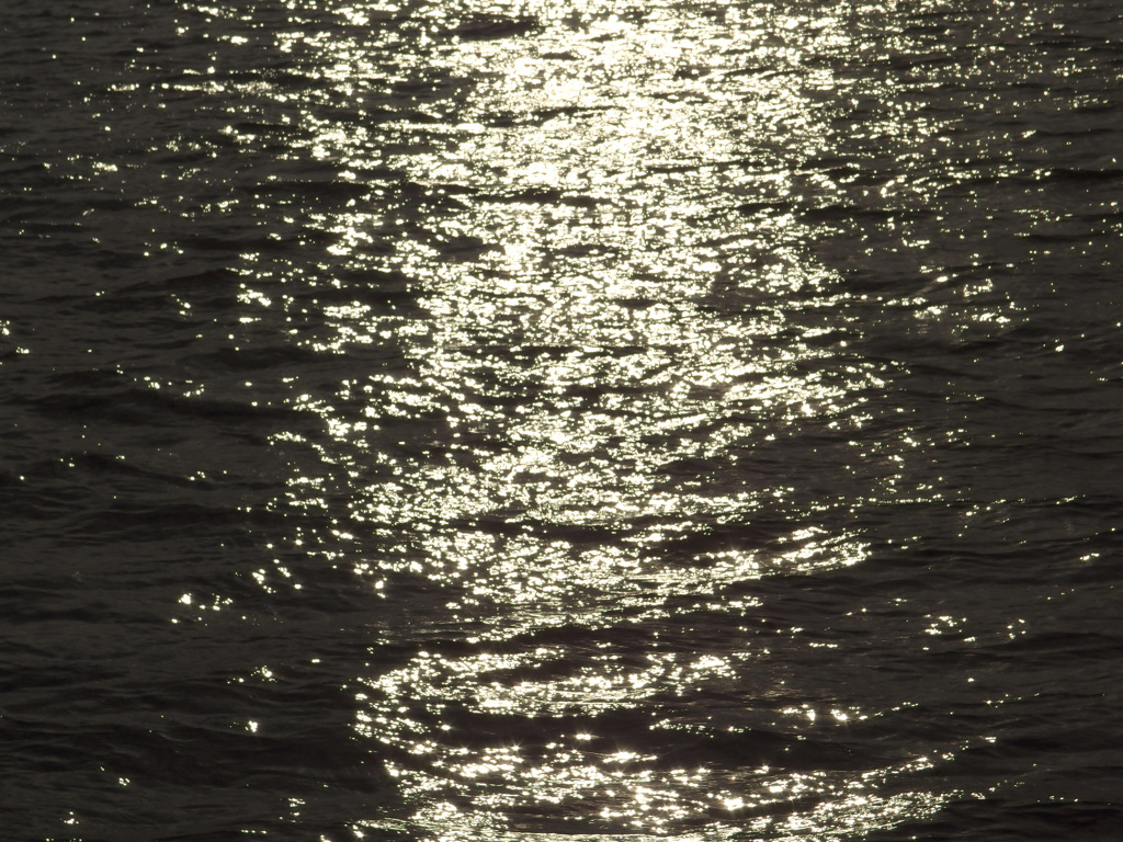 IMGP0397-20140113