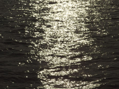 IMGP0397-20140113