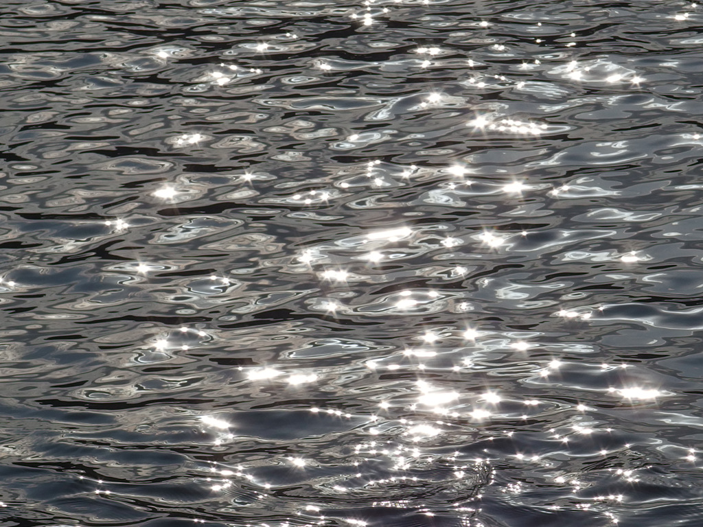 IMGP0301-20140104