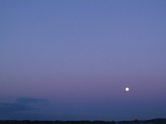 IMGP2216-20130624