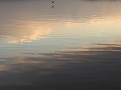 IMGP0442-20140114