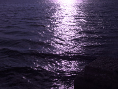 IMGP0382-20140113