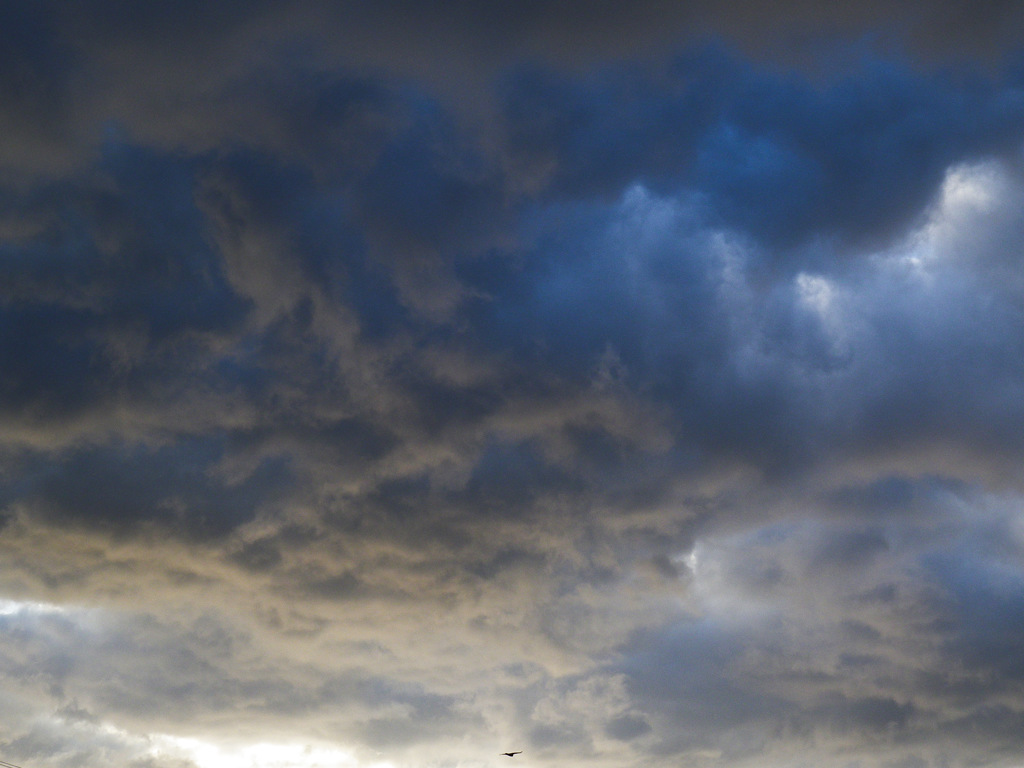雲１６２