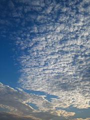 雲１１１