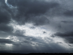 雲１６６
