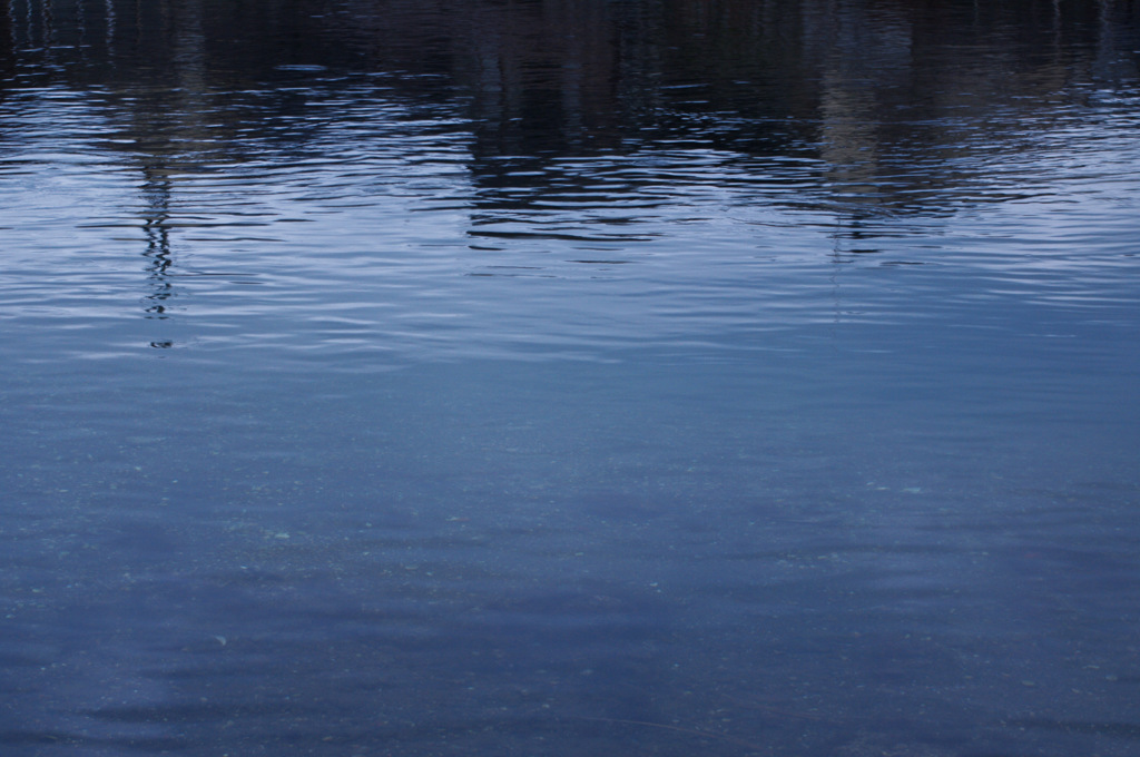 IMGP0778-11-20140817