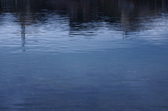 IMGP0778-11-20140817