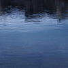 IMGP0778-11-20140817
