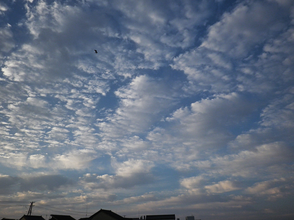 雲１１２