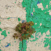 IMGP0883-100-20140821