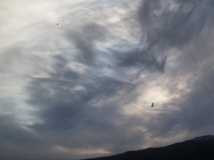 雲１２１