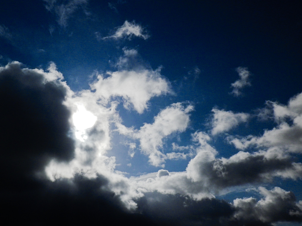 雲１６４