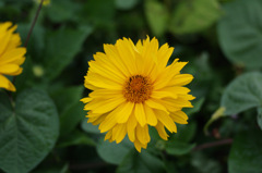 IMGP0633-1-20140808