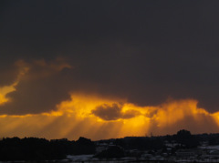 IMGP3420-20140117