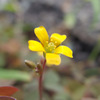 IMGP1684-2-20140819