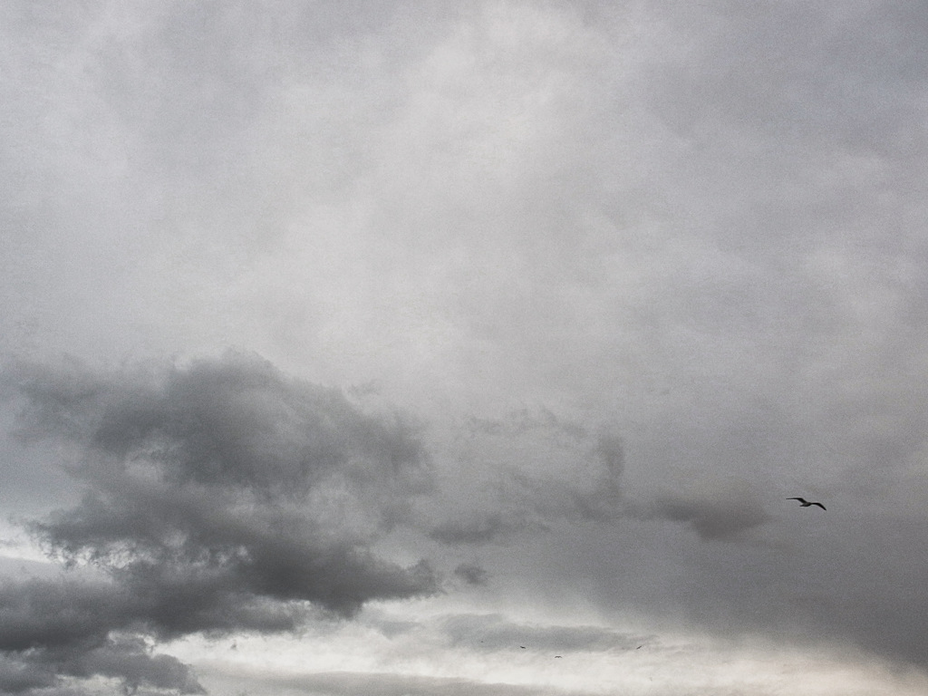 雲２３９