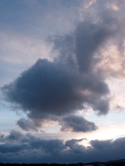 雲２３８