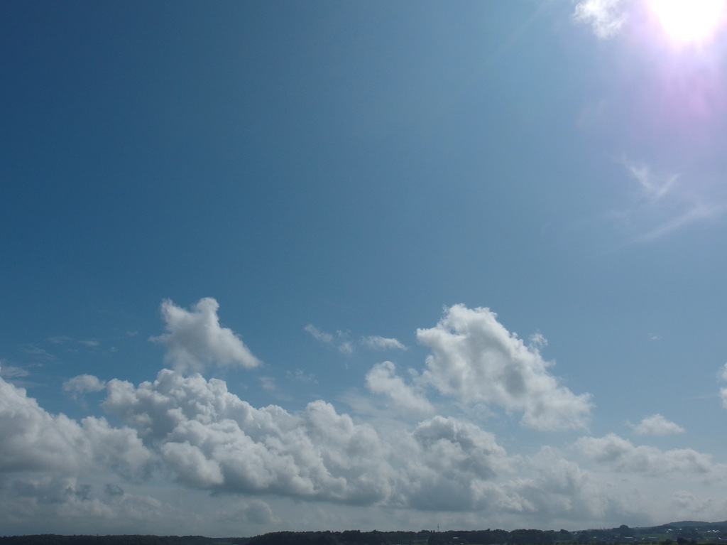 雲３０８
