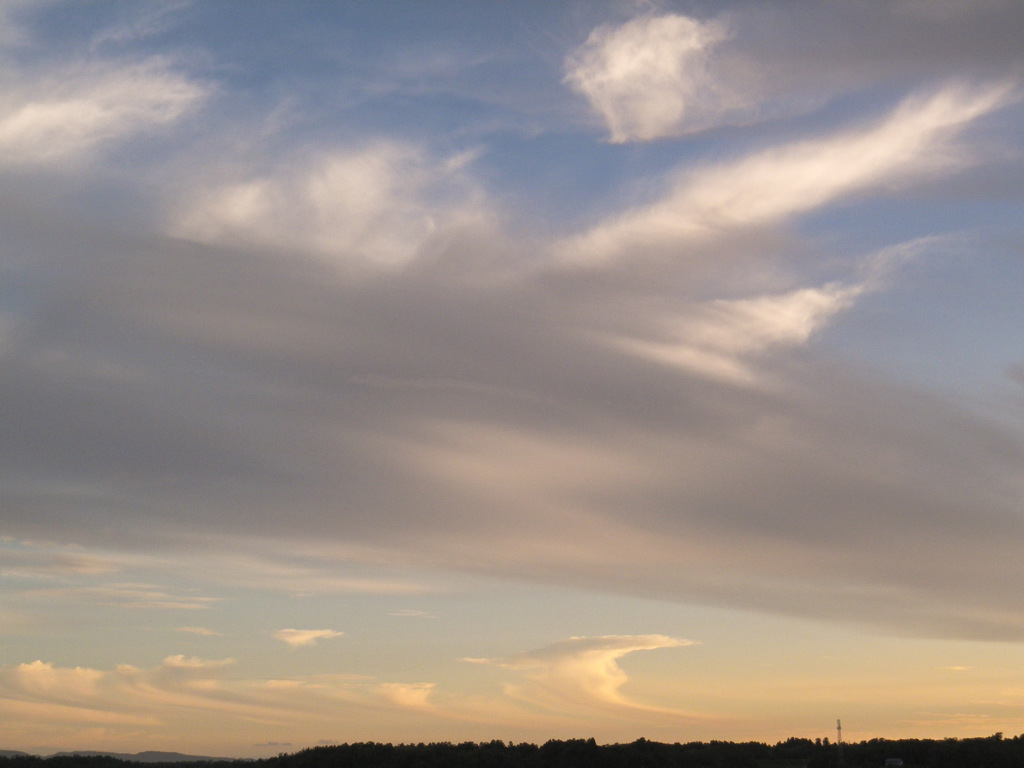 雲１１３