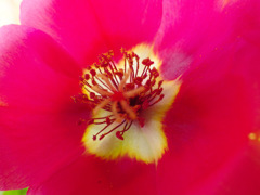 IMGP1722-41-20140821