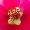 IMGP1722-41-20140821