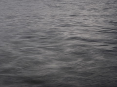 _IGP3662-24-20140124
