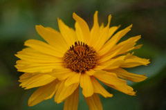 IMGP0658-13-20140809