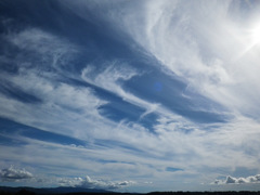 雲１１８