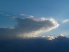 雲２２８