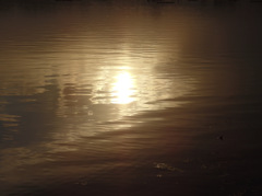 IMGP0425-01-20140114
