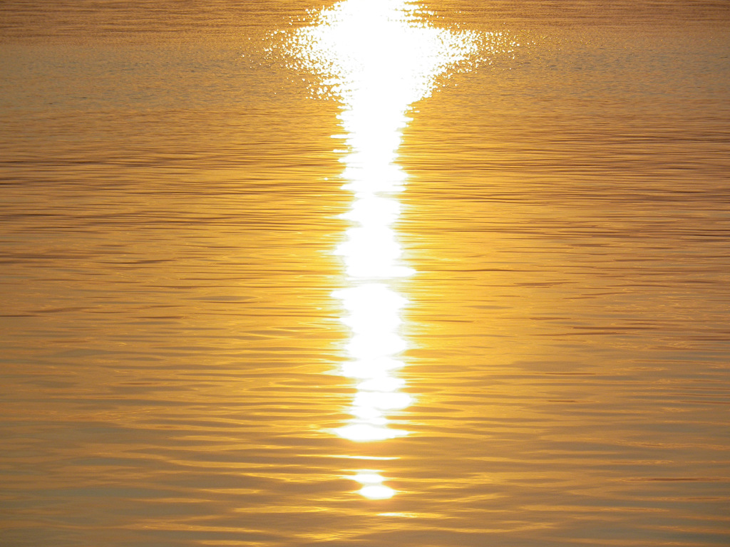 黄金の湖面