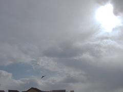 雲２５９
