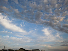 雲１１３