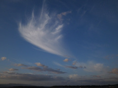 雲１４１