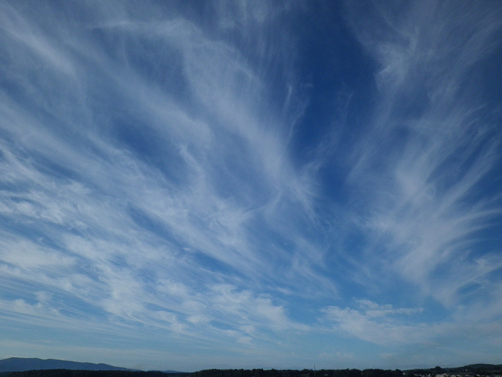 雲１３６
