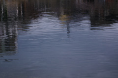 IMGP0783-16-20140817