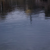 IMGP0783-16-20140817