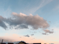 雲２３６