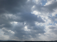 雲２５６