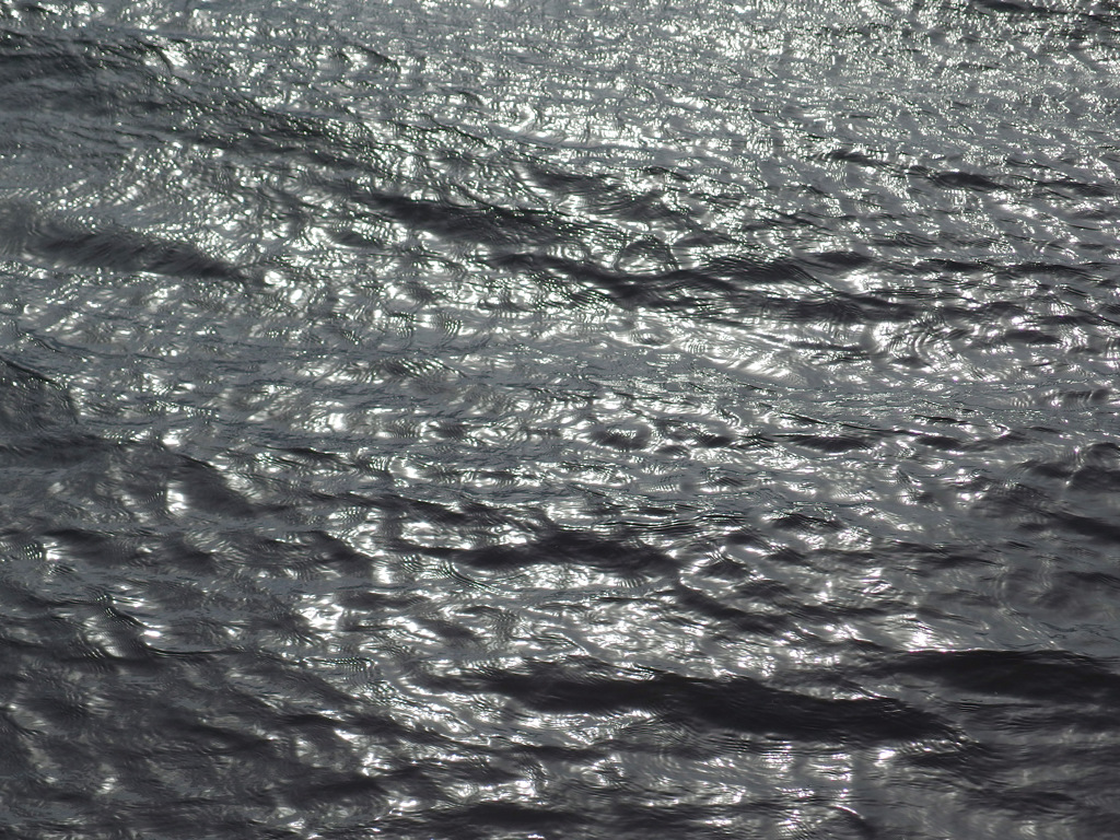 IMGP0348-20140111