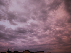雲２４２
