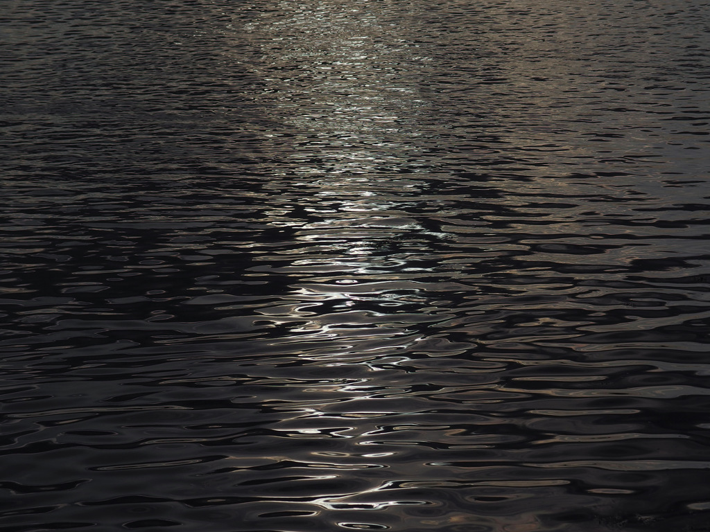 IMGP0460-20140115